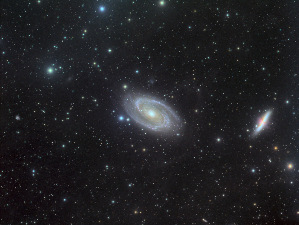 M81